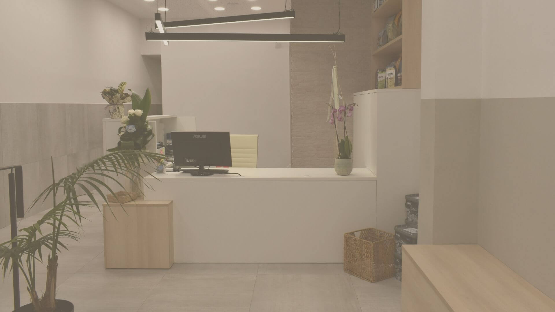 Always at your disposal