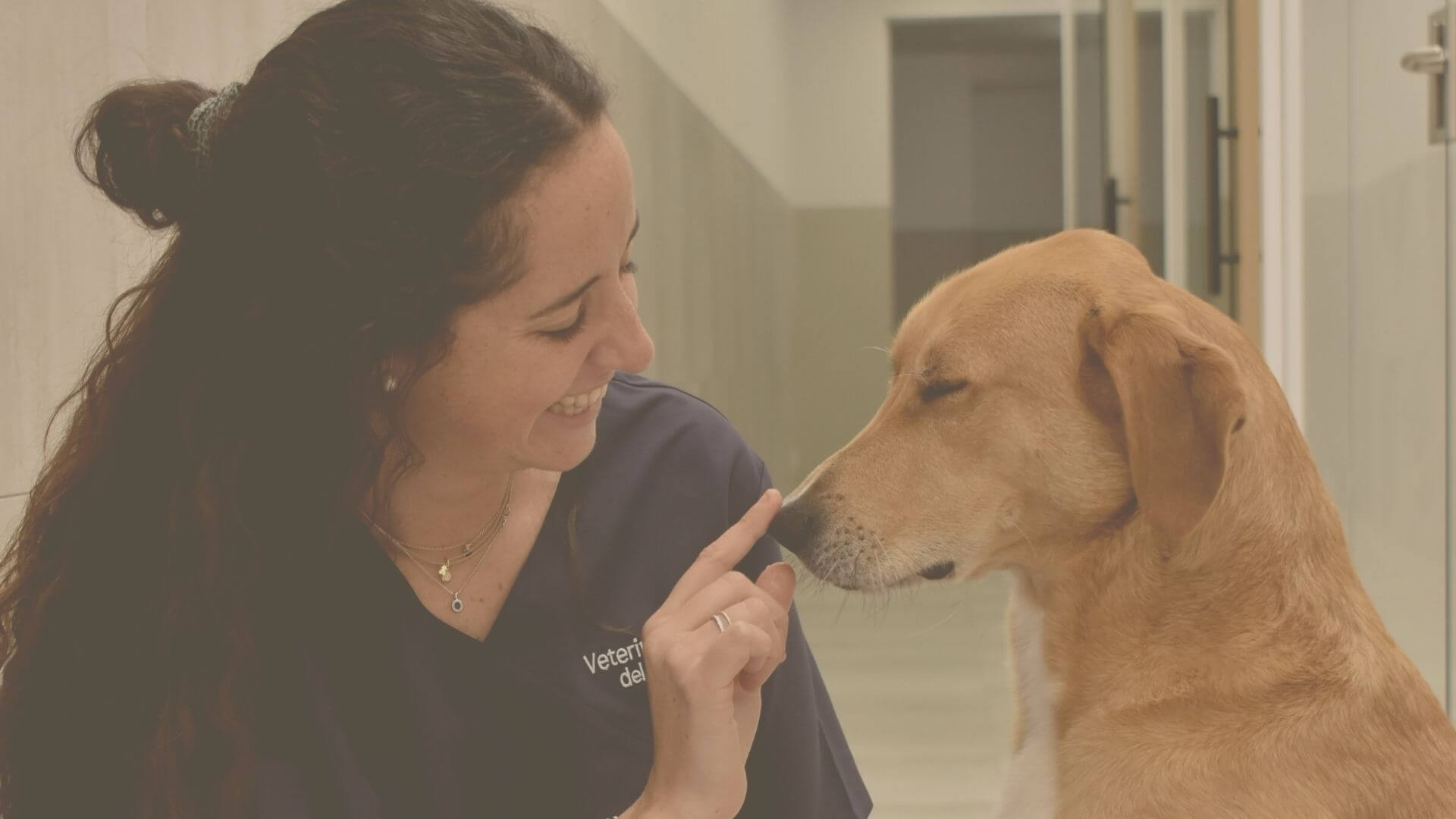 They are part of our family