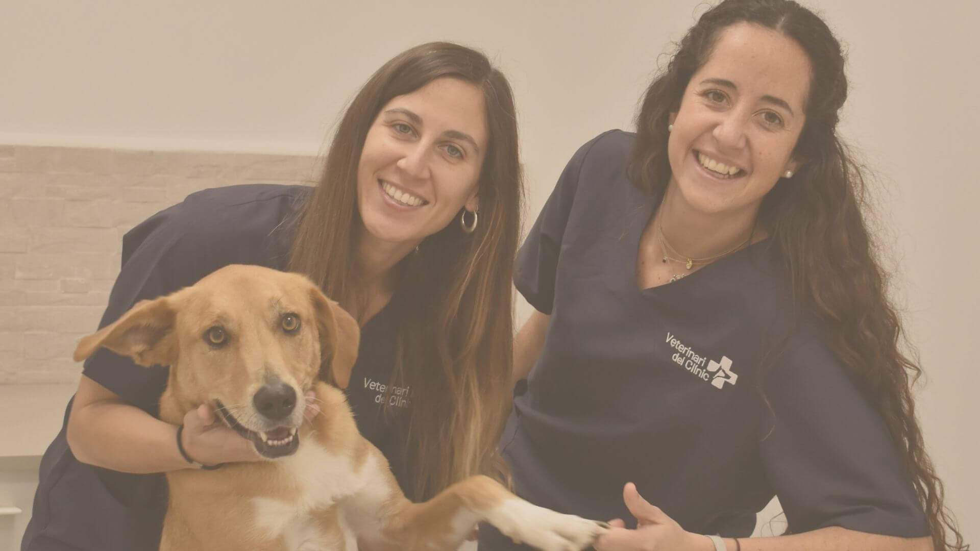 Together we make a good team