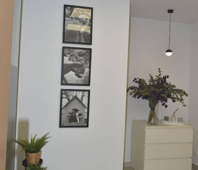 Instalaciones veterinari del clinic Instalaciones veterinari del clinic