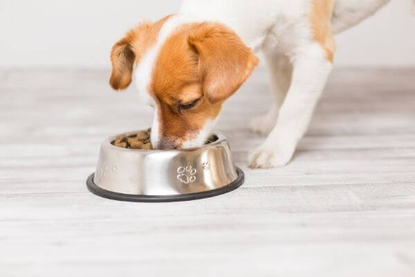 Medicina nutricional Medicina nutricional