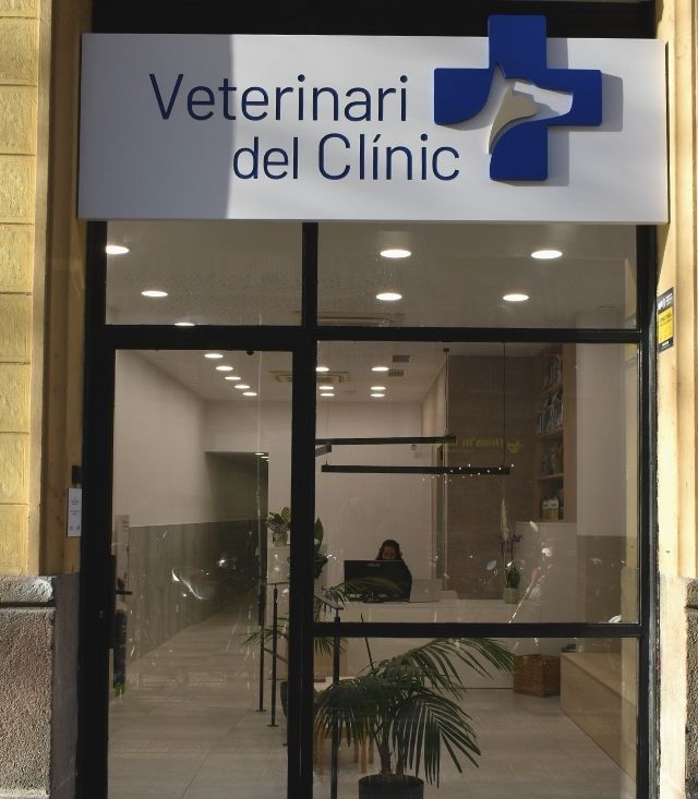 Veterinari del clinic (5) Contacta con nosotros