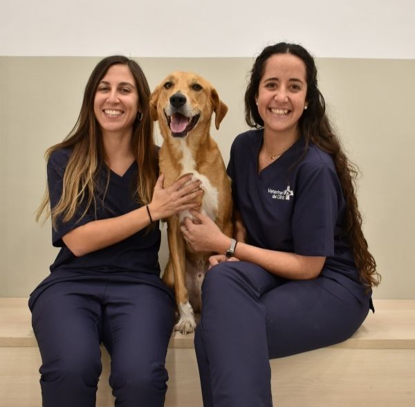 Veterinari del clinic (6) Veterinari del clinic (6)