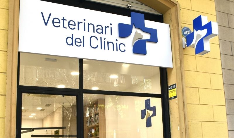 Clínica Veterinaria en Barcelona Clínica Veterinaria en Barcelona