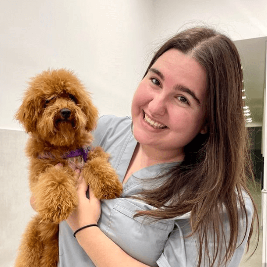 veterinari del clinic Equipo (1) veterinari del clinic Equipo (1)