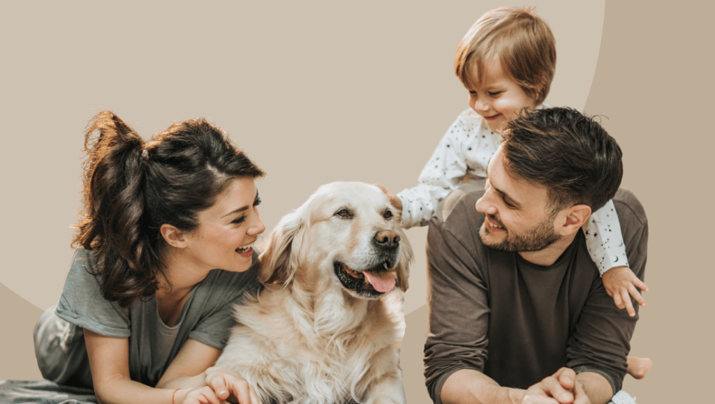 adopción de un perro