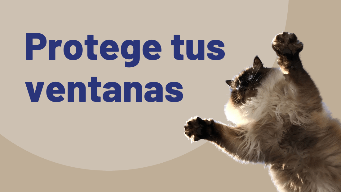 Post del blog de veterinari del clinic síndrome del gato paracaidista