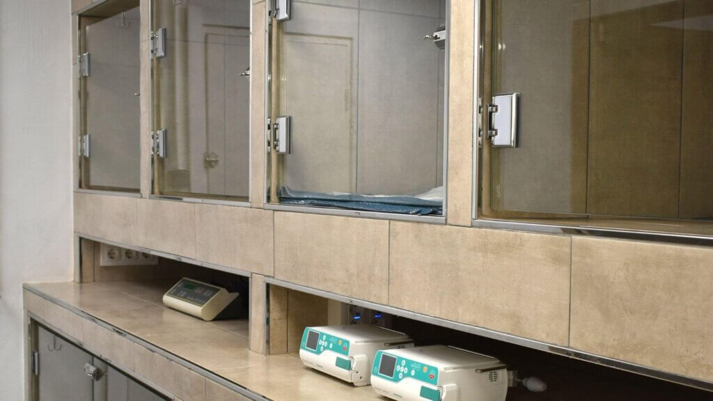 Hospitalizacion-canina